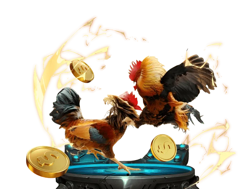 Tình trạng sức khỏe gà đá